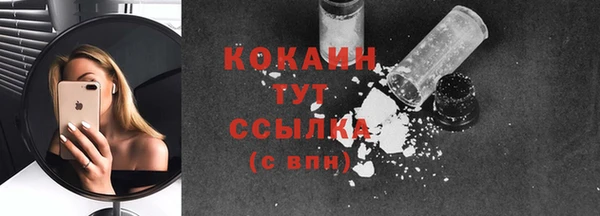a pvp Бородино