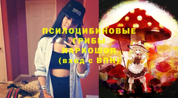 шишки Бугульма