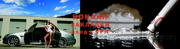 a pvp Бородино