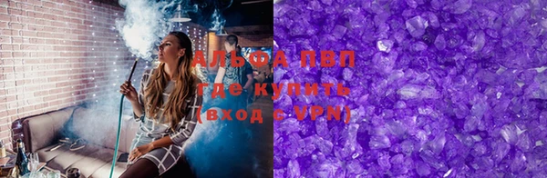 a pvp Бородино