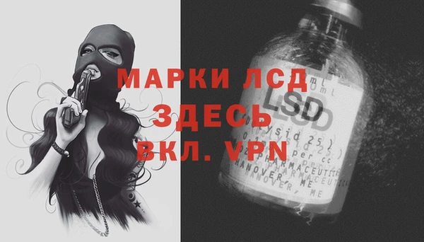 a pvp Бородино